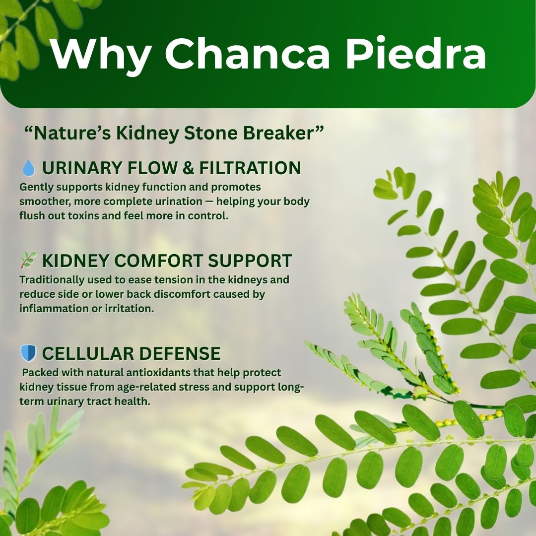 Daily Dissolve Chanca Piedra (BOGO)